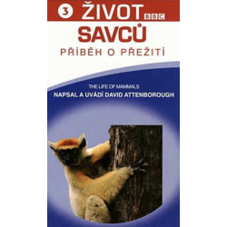 DVD David Attenborough – Život savců: Příběh o přežití 3